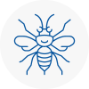 Sheringham Hornet Nest Removals
