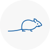 Mice Exterminators In Sheringham