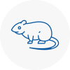 Rat Control Sheringham