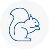 Sheringham Rodent Removals