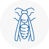 Sheringham Wasp Nest Removal